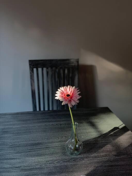 Hermoso Departamento En Coyoacan Μεξικό Εξωτερικό φωτογραφία
