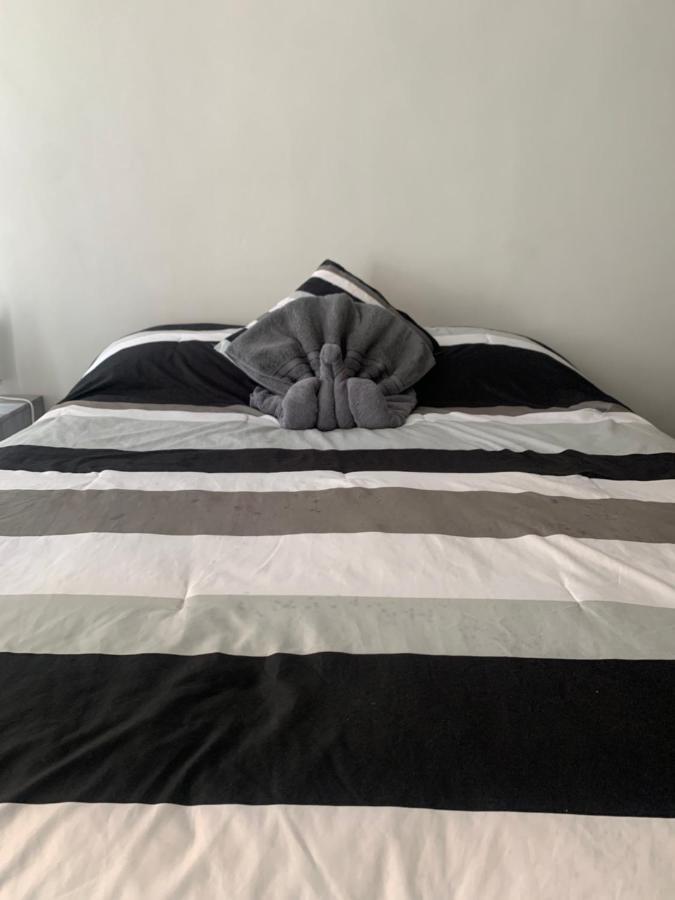 Hermoso Departamento En Coyoacan Μεξικό Εξωτερικό φωτογραφία